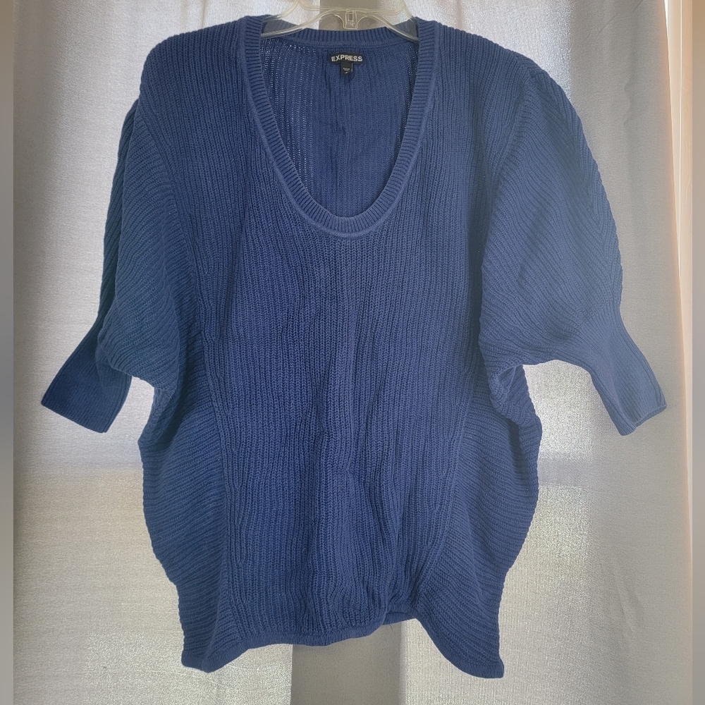 Express Blue Batwing Low V Sweater
